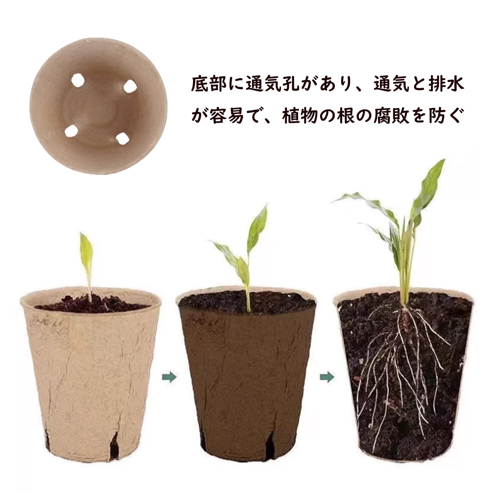 Amazon.co.jp: 育苗ポット 紙 20個セット 種まきポット 苗ポット 紙
